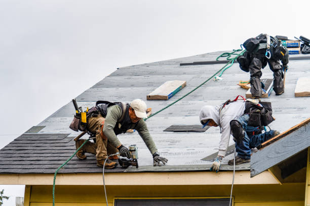 Professional Storm Damage Roof Repair technician working in Bloomington, IL